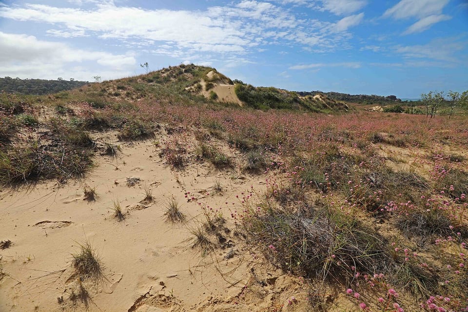 グルートアイランド島(オーストラリア)