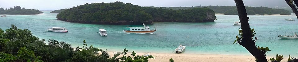 石垣(日本)