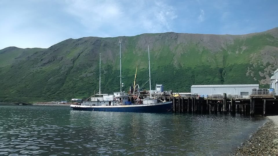 King Cove（アメリカ）